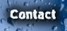 Contactez-nous
